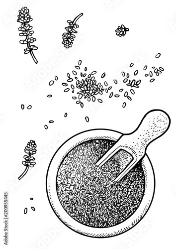 Dried lavender in a bowl illustration, drawing, engraving, ink, line art, vector
