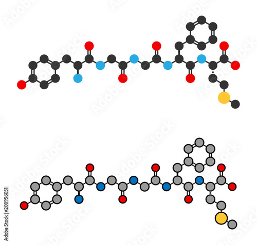 Met-enkephalin endogenous opioid peptide molecule.