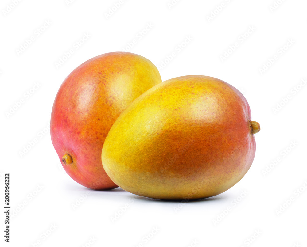 Two mango fruits close-up isolated on white background Two mango fruits close-up isolated on white background
