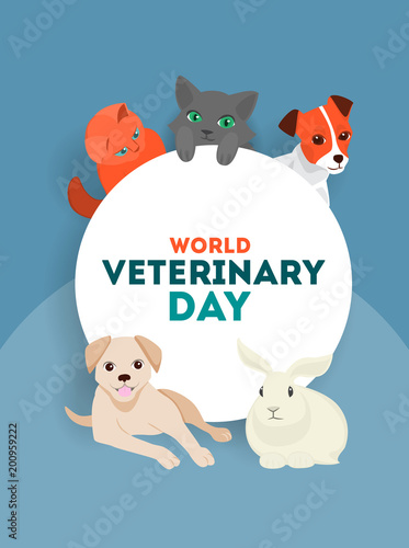 Veterinary day set.