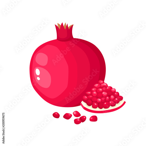 Bright vector illustration of colorful juice pomegranate isolated on white.