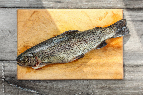 Table top view on raw trout fish on wooden working board, cut, gip, ready to be grilled. photo