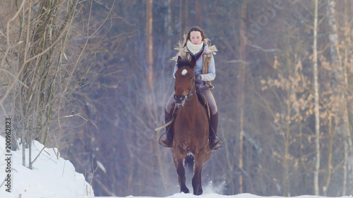 Portrait of beautiful female rider and her black horse in winter field