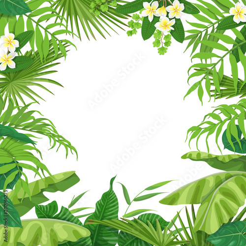 Summer Background with Tropical Plants