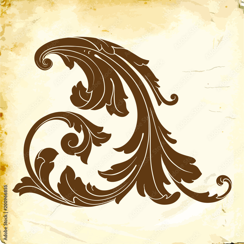 Fototapeta premium Vector baroque of vintage elements for design.