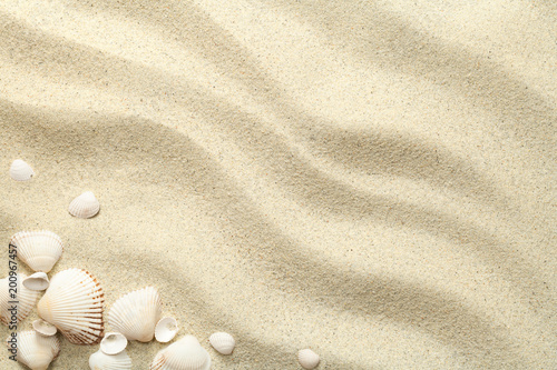 Sand Background with Shells
