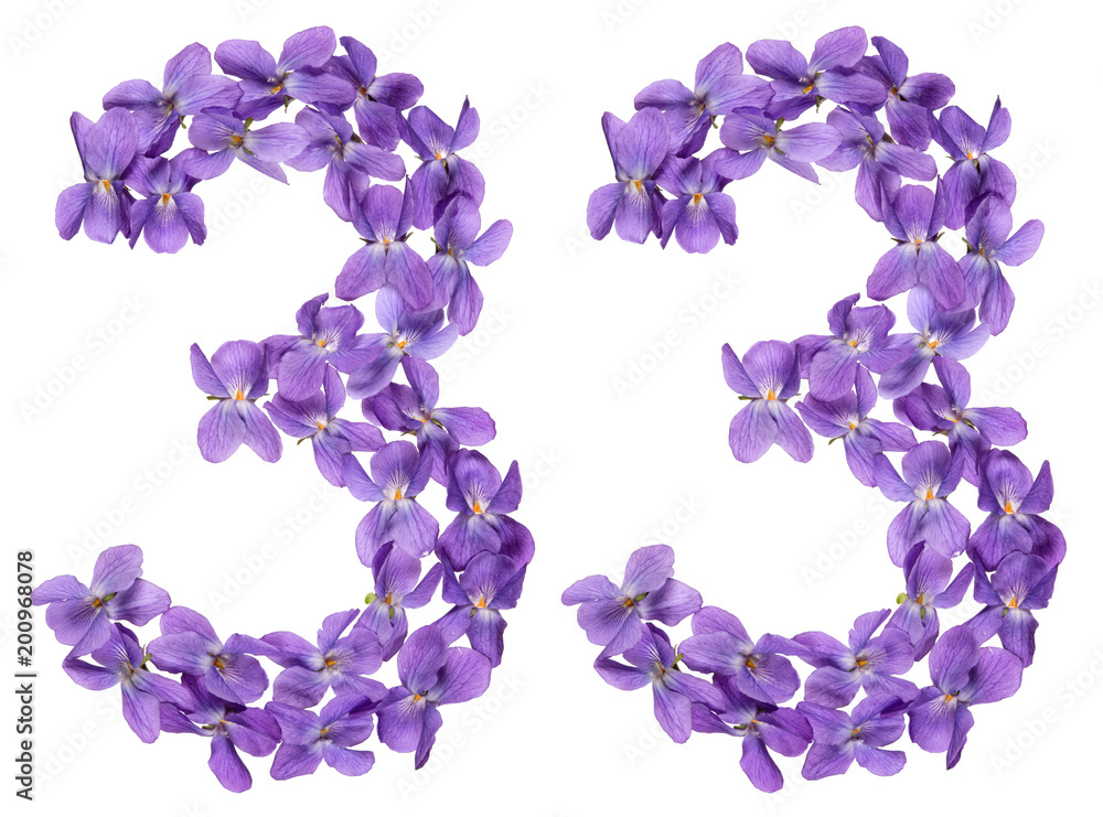 Arabic numeral 33, thirty three, from flowers of viola, isolated on white background Arabic numeral 33, thirty three, from flowers of viola, isolated on white background