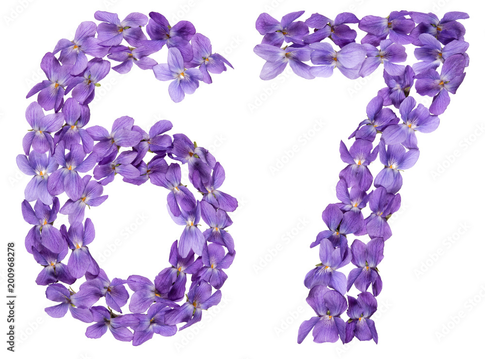 Arabic numeral 67, sixty seven, from flowers of viola, isolated on white background Arabic numeral 67, sixty seven, from flowers of viola, isolated on white background