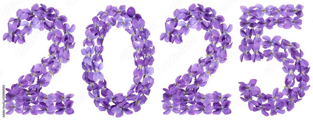 Numeral 2025 from flowers of viola, isolated on white background