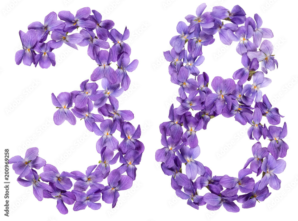 Arabic numeral 38, thirty eight, from flowers of viola, isolated on white background