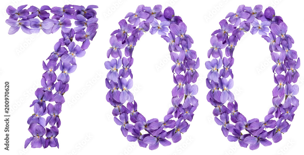 Arabic numeral 700, seven hundred, from flowers of viola, isolated on white background Arabic numeral 700, seven hundred, from flowers of viola, isolated on white background