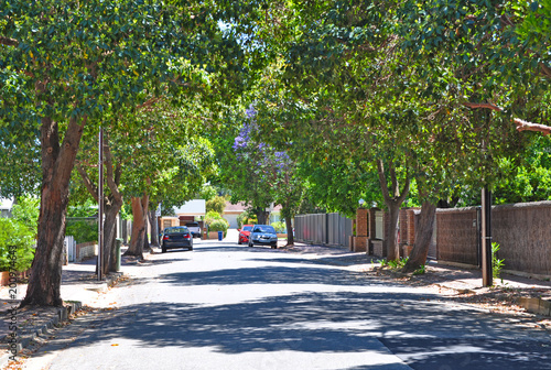 Little suburban street full of green trees. Adelaide, Australia