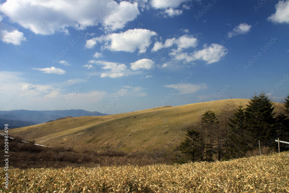 Fototapeta premium 車山