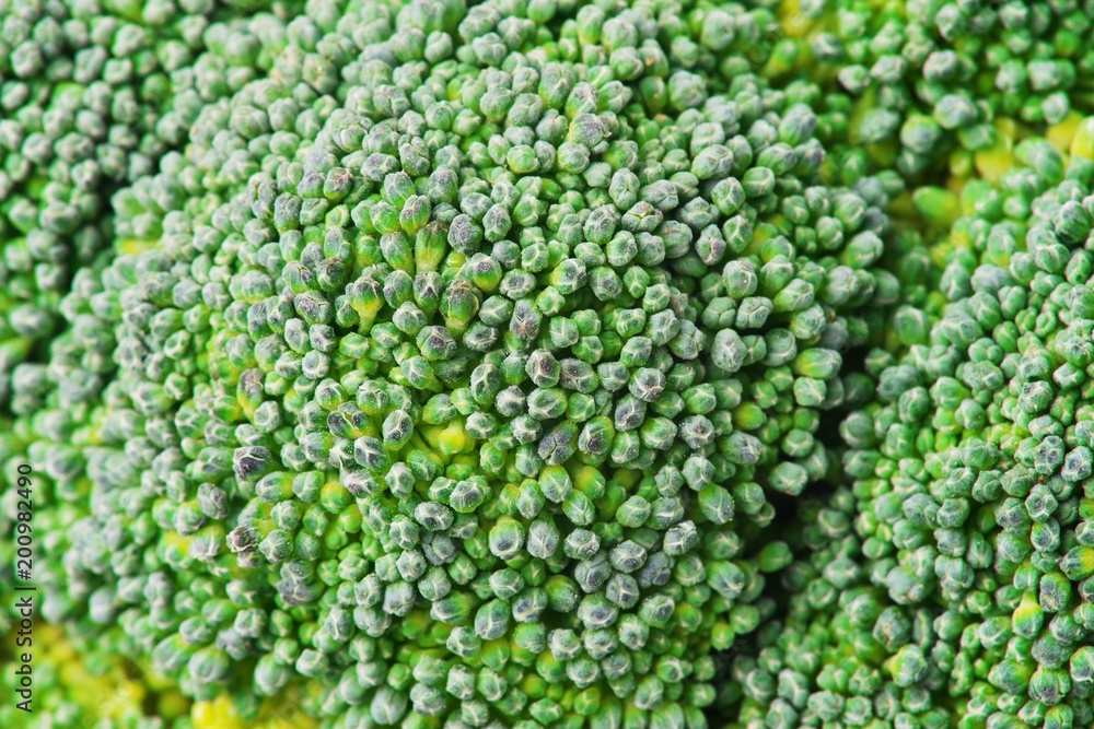 Broccoli isolated on white background. Close up, macro.