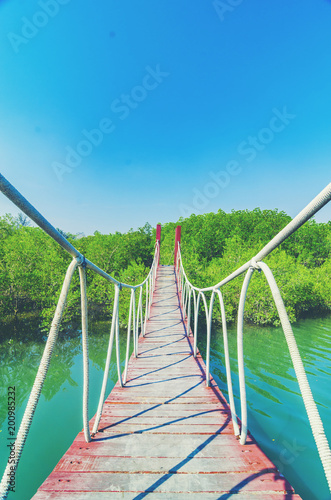Wooden walking bridge in ma...
