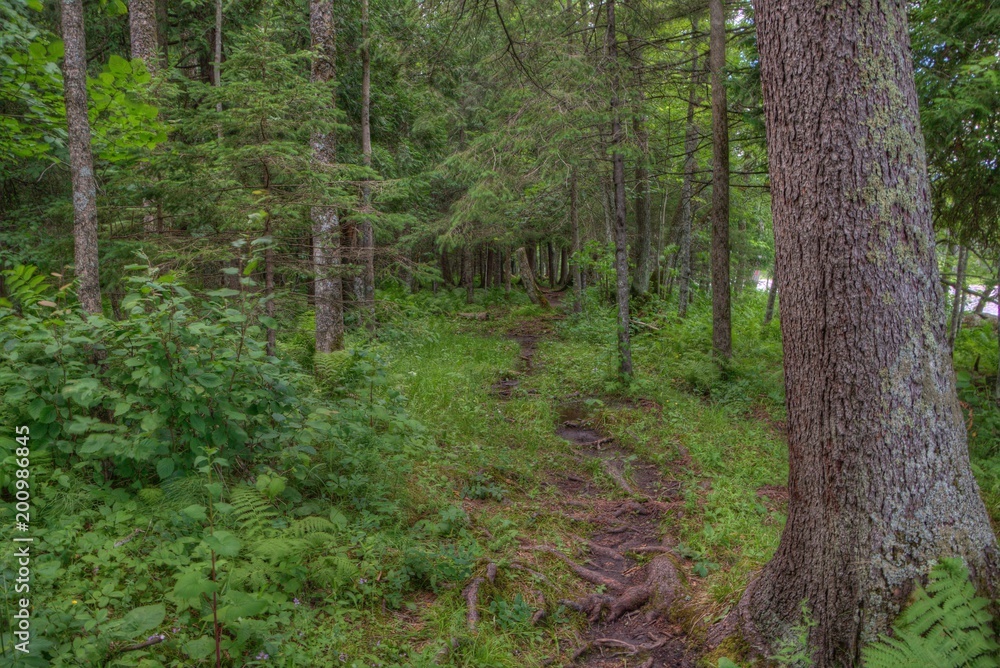 Jay Cooke State Park is on the St. Louis River south of Duluth in Minnesota Jay Cooke State Park is on the St. Louis River south of Duluth in Minnesota