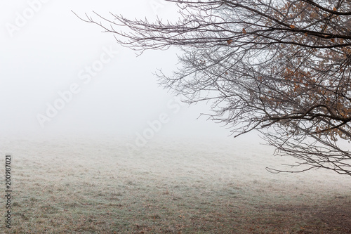 A foggy morning in Northeastern Pennsylvania 