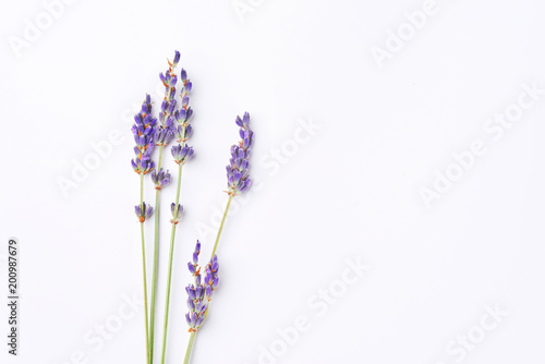 Fototapeta Naklejka Na Ścianę i Meble -  violet lavender flowers arranged on white background. Top view, flat lay. Minimal concept. Dry flower floral composition. Pastel colors.