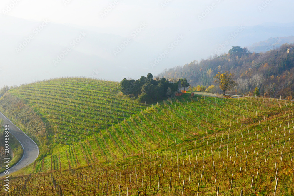 イタリア、ワインの里ピエモンテの風景 イタリア、ワインの里ピエモンテの風景
