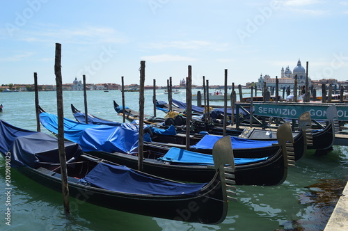 Veneza Itália © RenatoSt