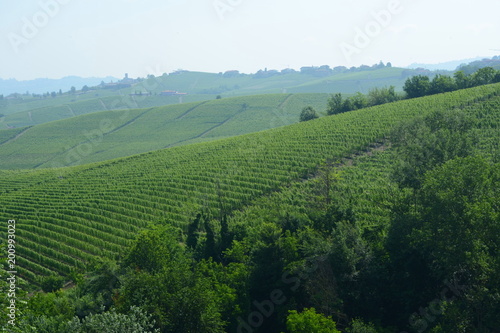 イタリア、ワインの里ピエモンテの風景