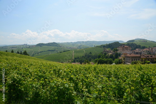 イタリア、ワインの里ピエモンテの風景 © Masakatsu Ikeda