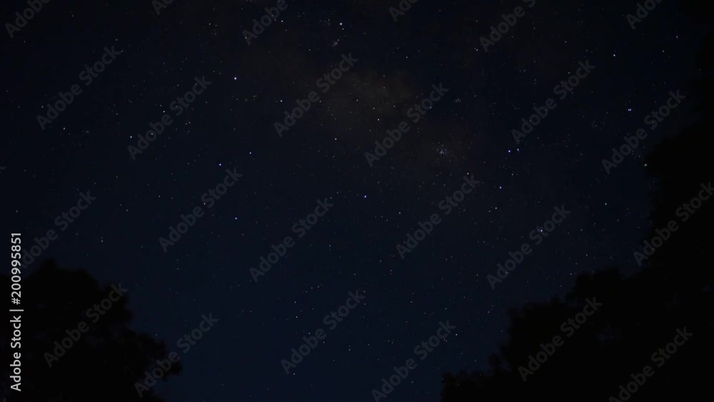 moving star over the tree at night moving star over the tree at night