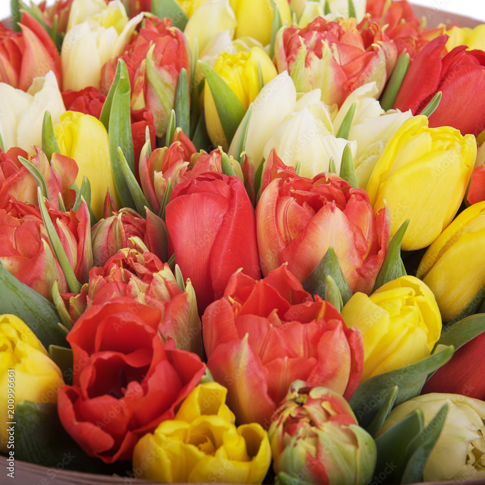 Fototapeta premium Bouquet of tulips