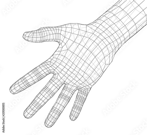 Human hand wire-frame. Vector
