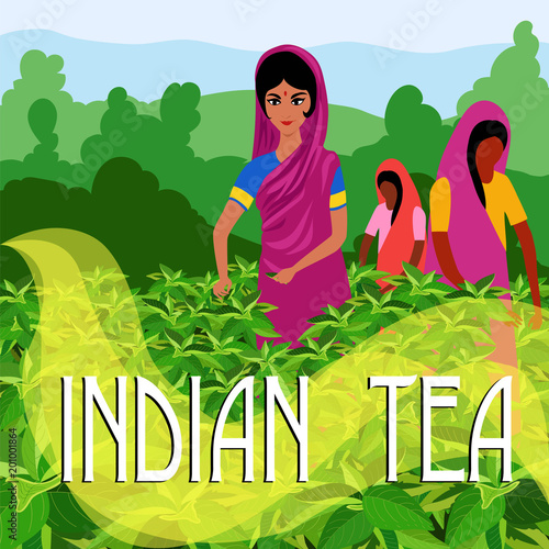 Indian tea. illustration