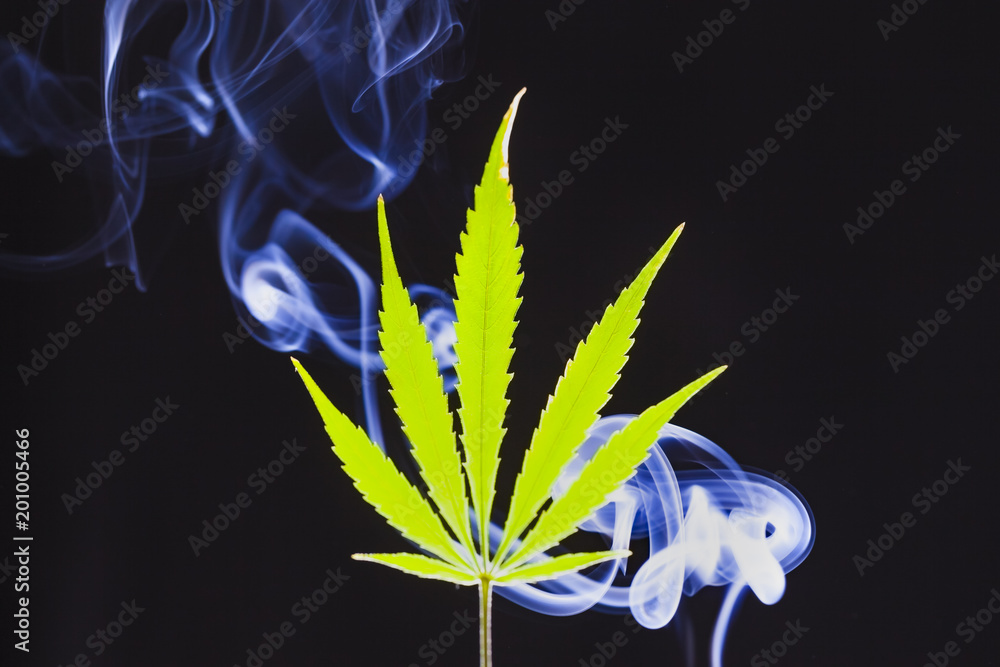 medical cannabis leaf  smoke