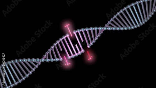 DNA editing, repair, engineering. Insertion of segements.Diagonal view.3d animation photo