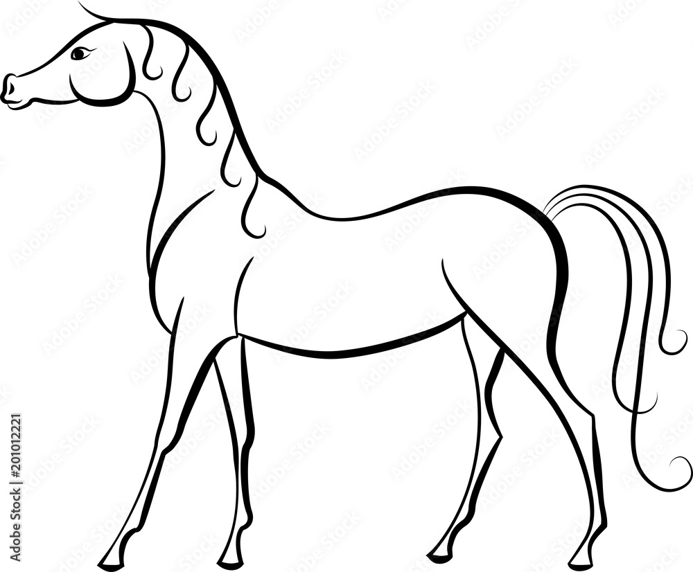 A exterior sketch of a horse.