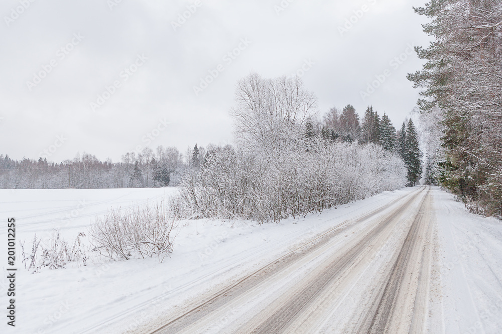 Obraz premium Winter road and cloudy sky