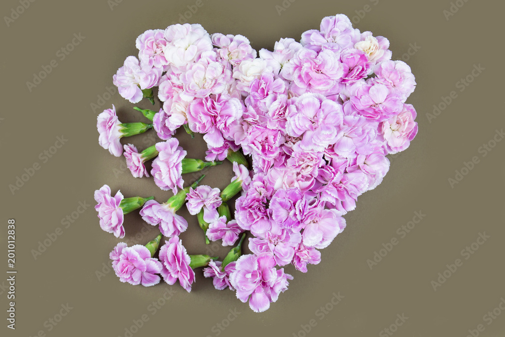 Flower flat lay Flower flat lay