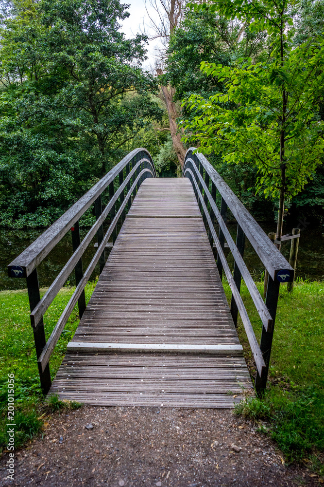 Bridge to a forest at Haagse Bos, forest in The Hague