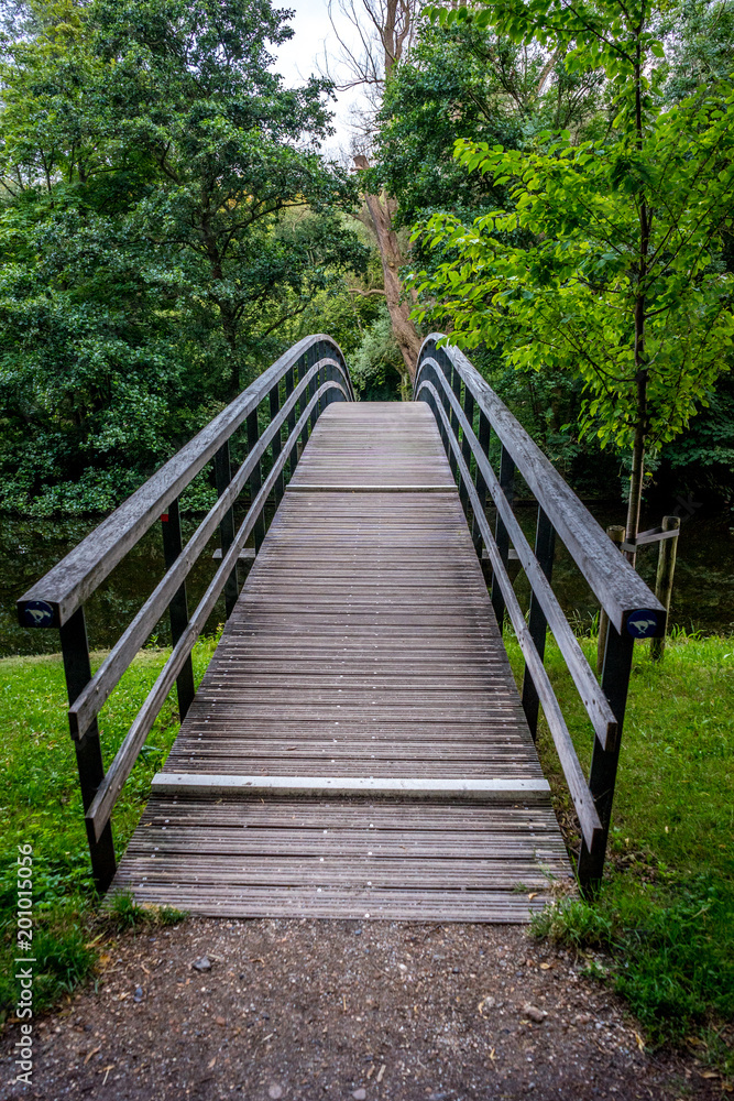 Bridge to a forest at Haagse Bos, forest in The Hague Bridge to a forest at Haagse Bos, forest in The Hague