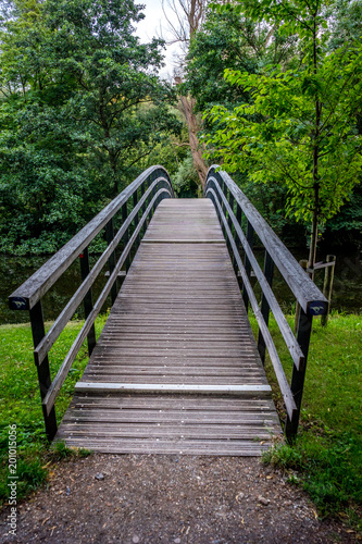 Bridge to a forest at Haagse Bos  forest in The Hague