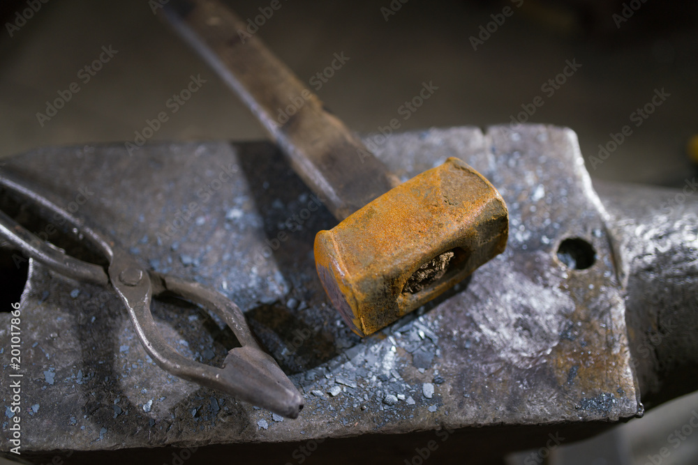 Hammer and forceps lie on the anvil Hammer and forceps lie on the anvil