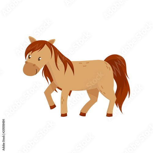 Brown horse pony vector Illustration on a white background