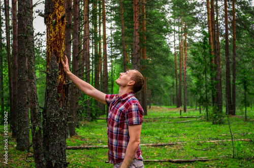 A man touches a drying tree in a park