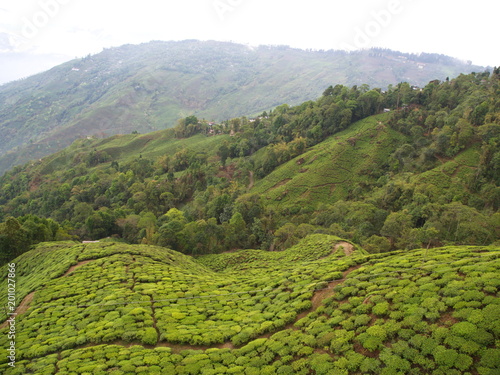 Darjeeling , INDIA , 15th APRIL 2011 : Aerial View from the cable car with TEA Plantation in Darjeeling City, India photo