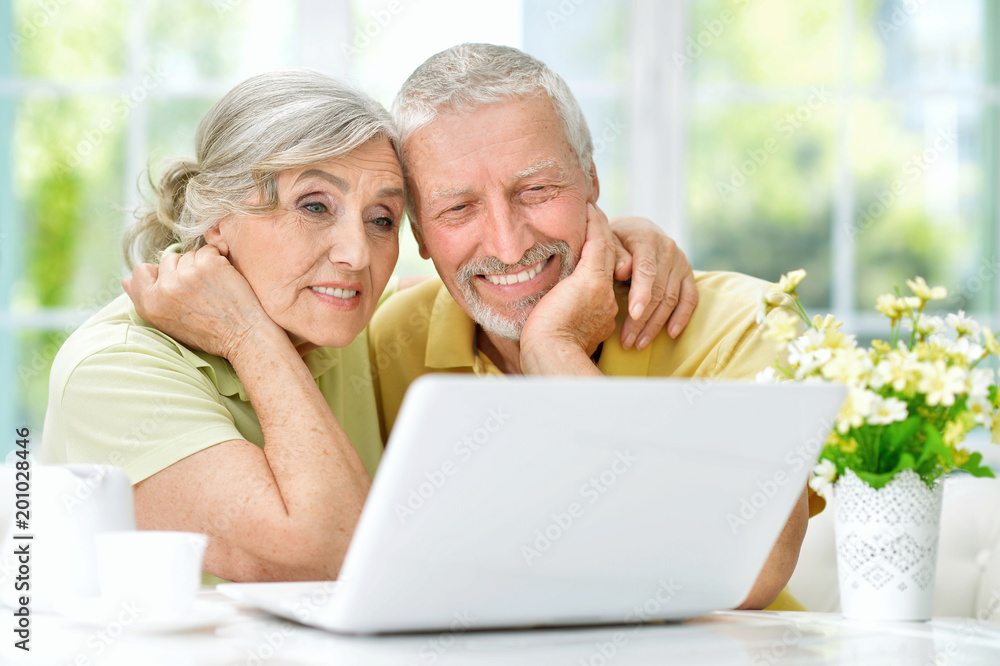 senior couple using laptop senior couple using laptop