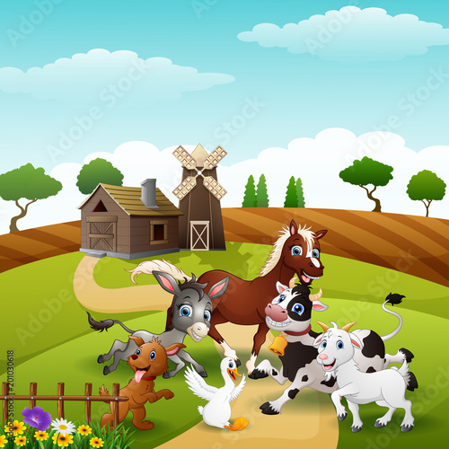 Animals playing together at farm