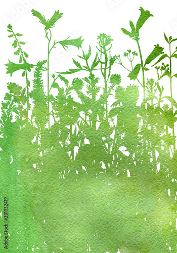 Wallpaper Mural Watercolor background with drawing herbs and flowers Torontodigital.ca