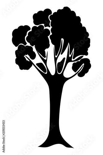 Baum