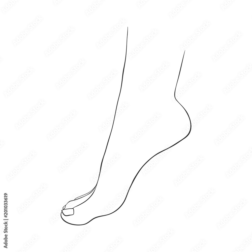 hand drawn women foot hand drawn women foot