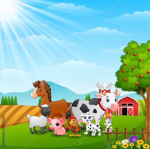 Happy farm animals on daylight
