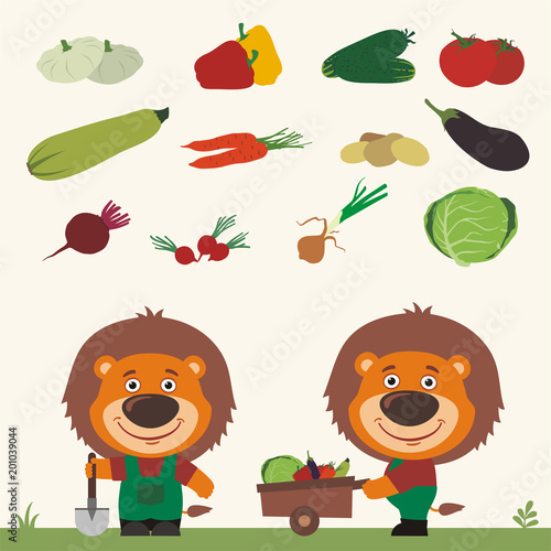 Set of isolated vegetables: squash, peppers, cucumbers, tomatoes, zucchini, carrots, potatoes, eggplant, beets, radishes, cabbage, onions. Two funny lions farmers.