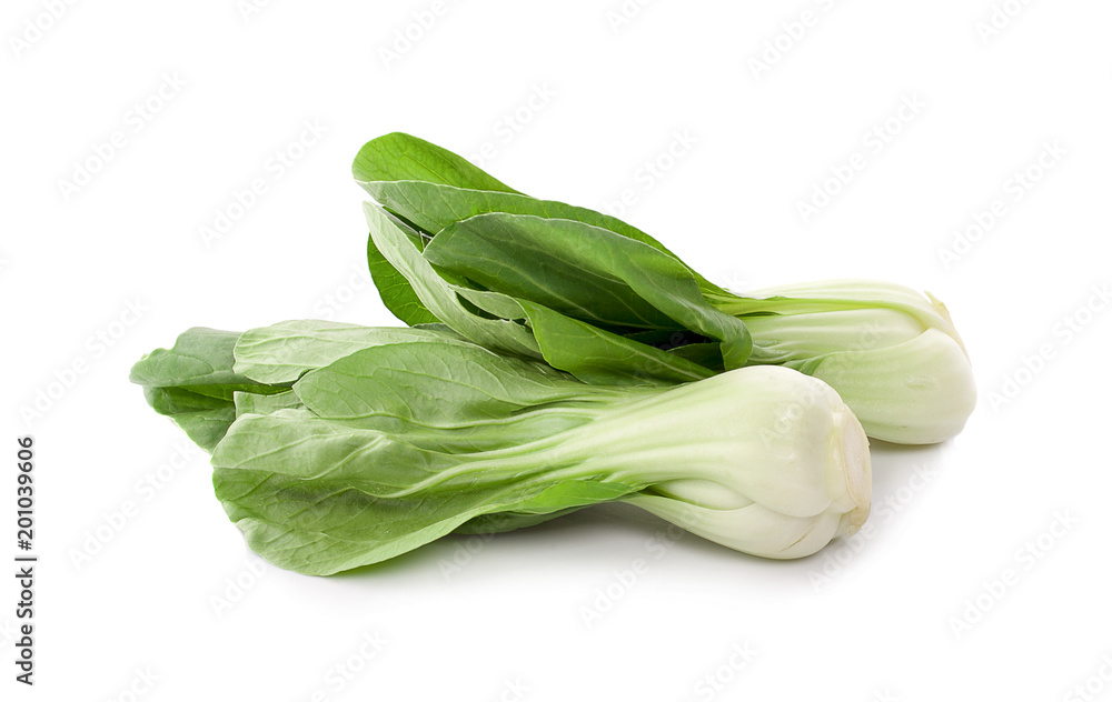Bok choy vegetable isolated on the white background. Bok choy vegetable isolated on the white background.
